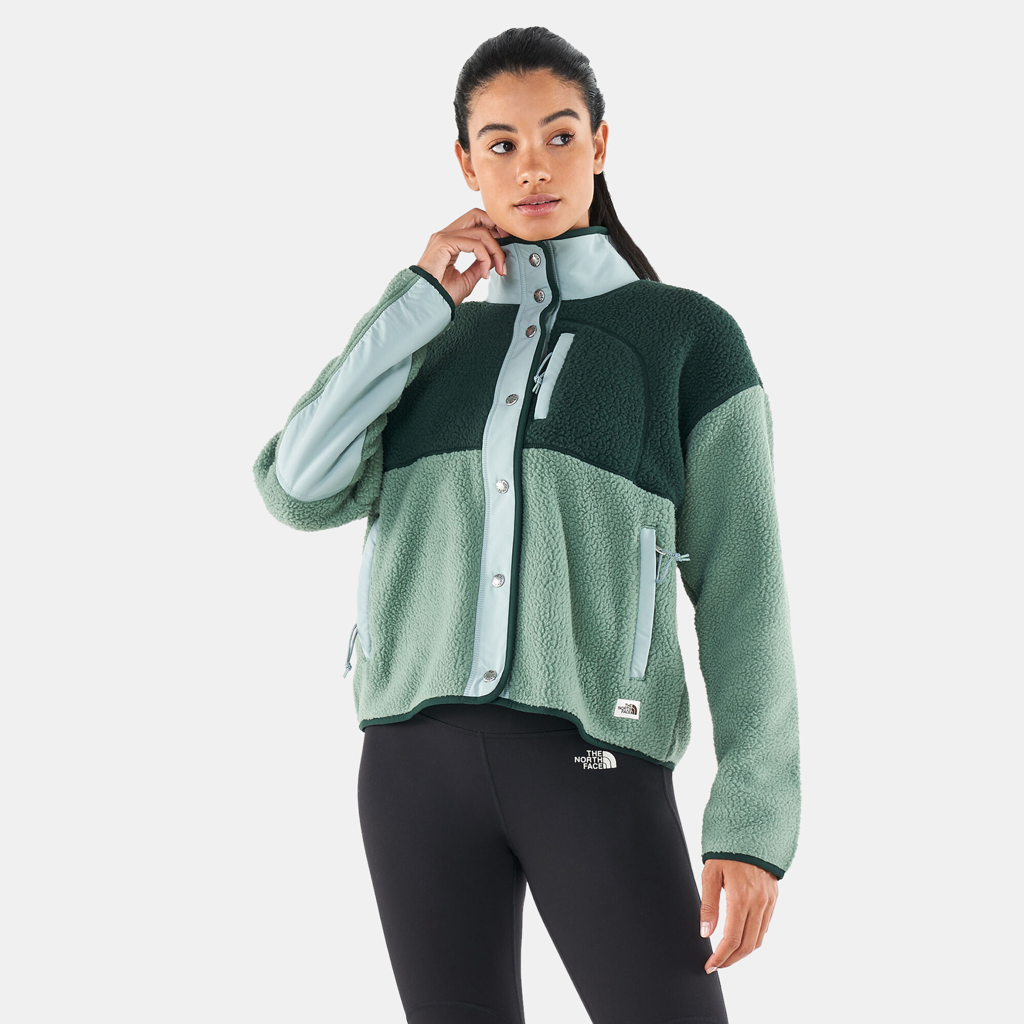 north face fleece cragmont
