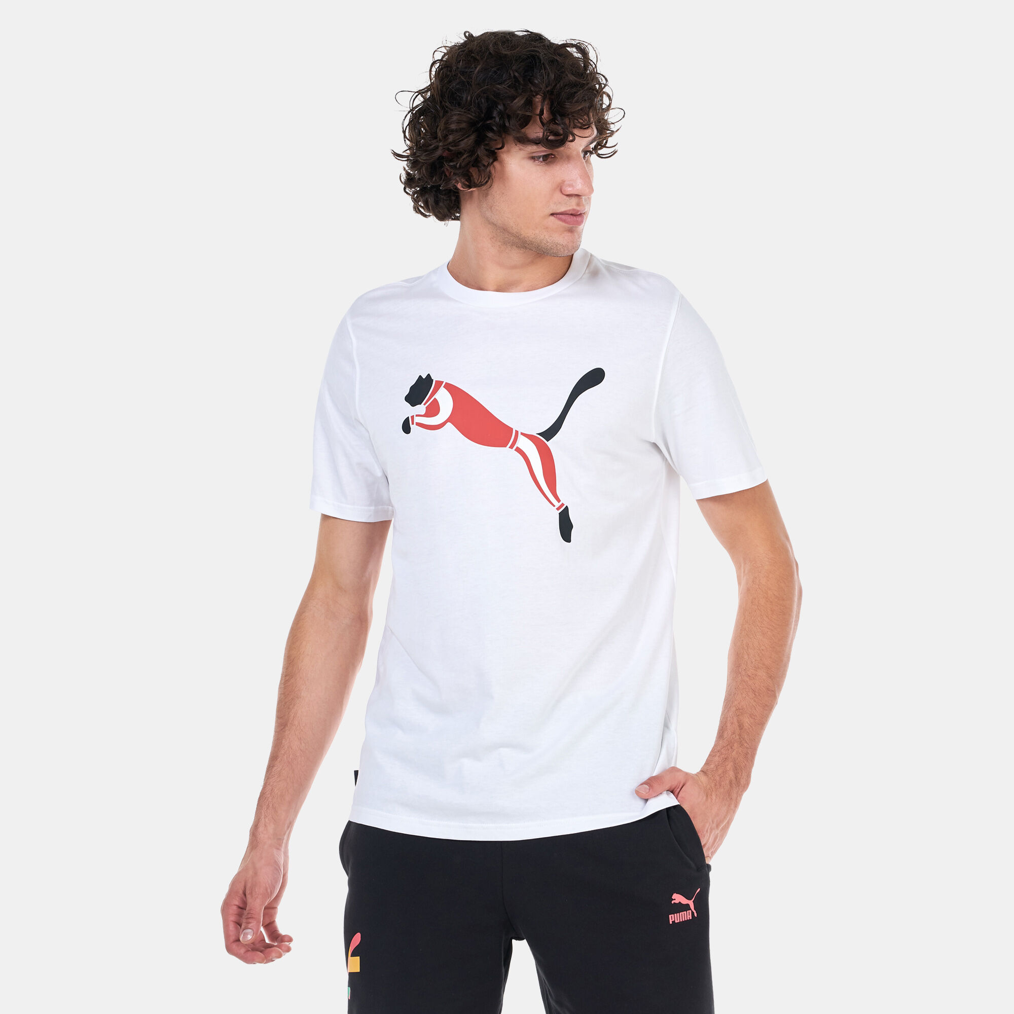 Puma basket hot sale graphic sm