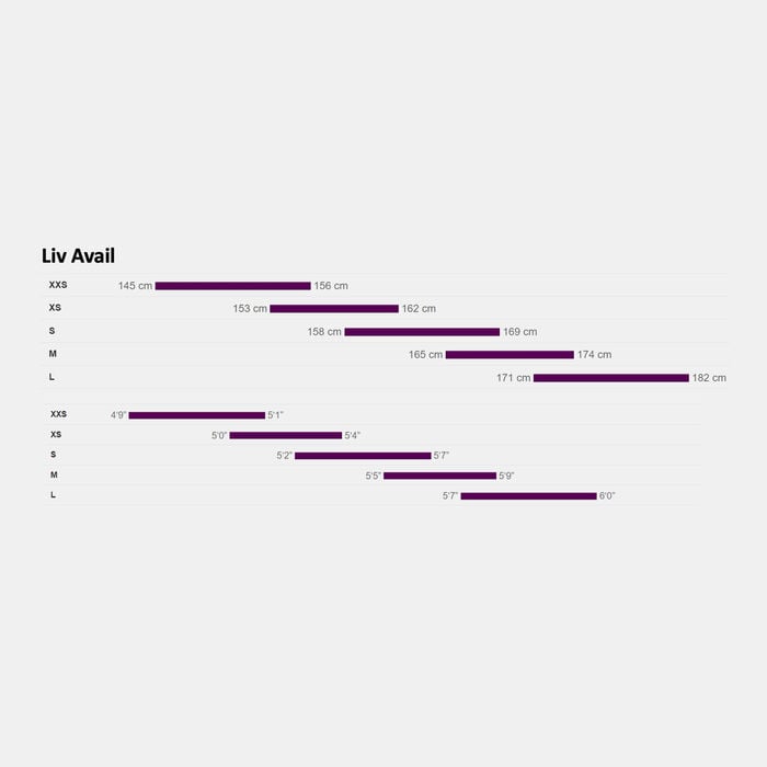 Giant Women's Liv Avail AR 3 Bike Blue image number 5