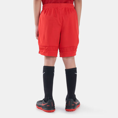 Nike Kids' Dri-FIT Academy Knit Football Shorts (Older Kids) Red