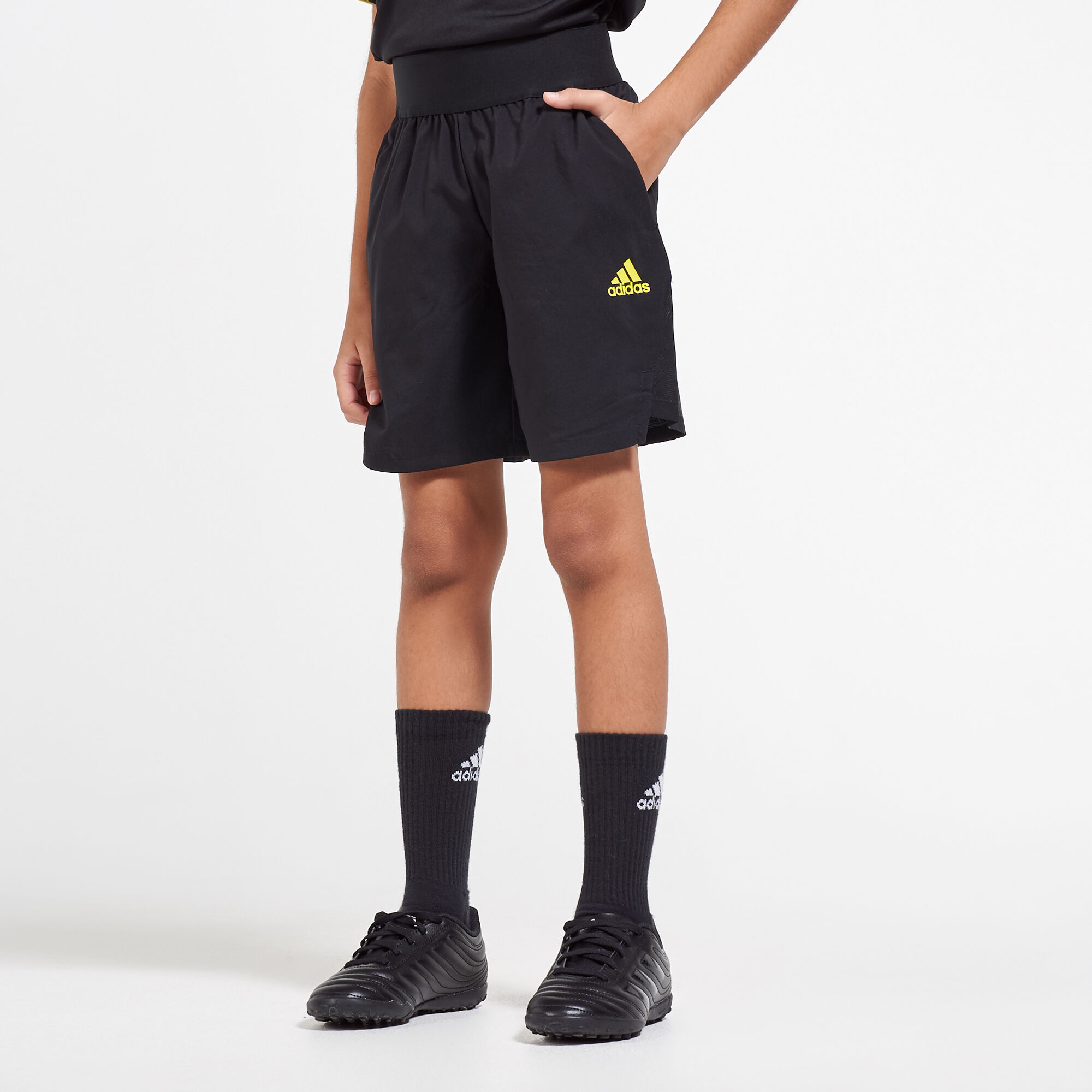 Adidas predator shorts hotsell
