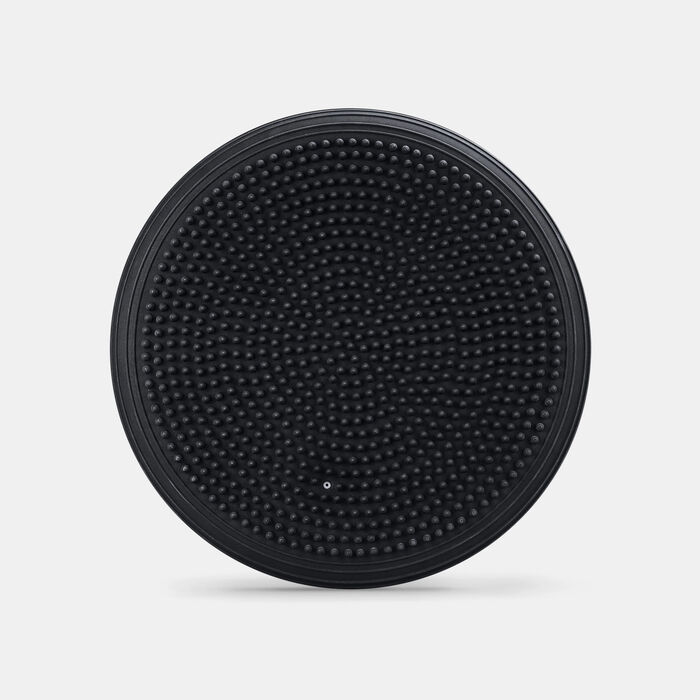 PTP Stability Disc Multi-Color image number 3