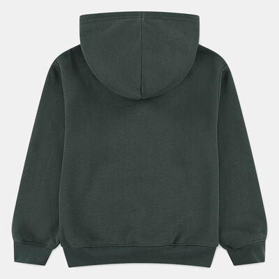 Nike Kids' Brooklyn Fleece Hoodie Green Nike Kids' Brooklyn Fleece Hoodie Green
