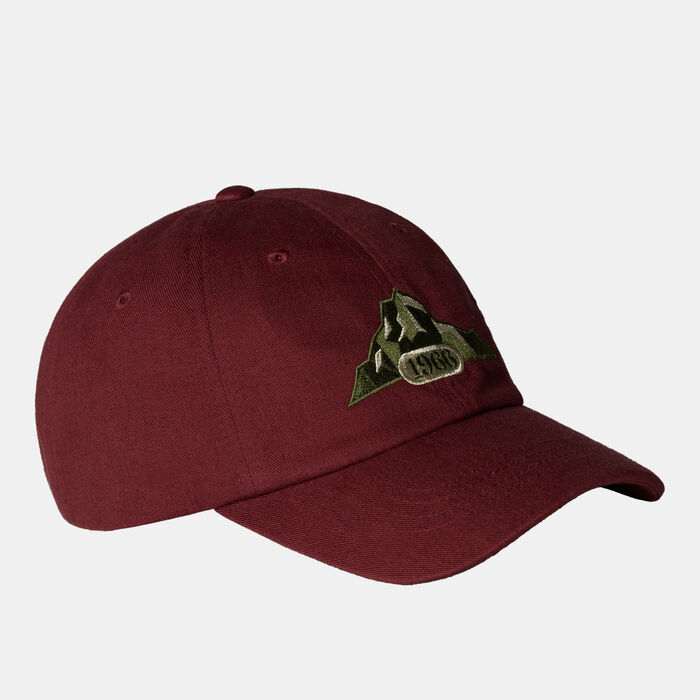 The North Face Norm Cap Brown The North Face Norm Cap Brown image number 0