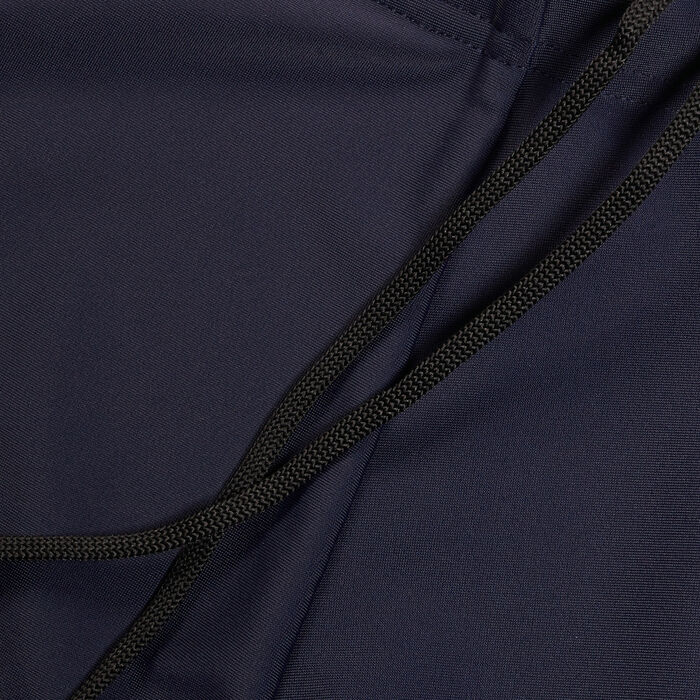 Speedo Men's Dive Swimming Shorts Blue image number 4