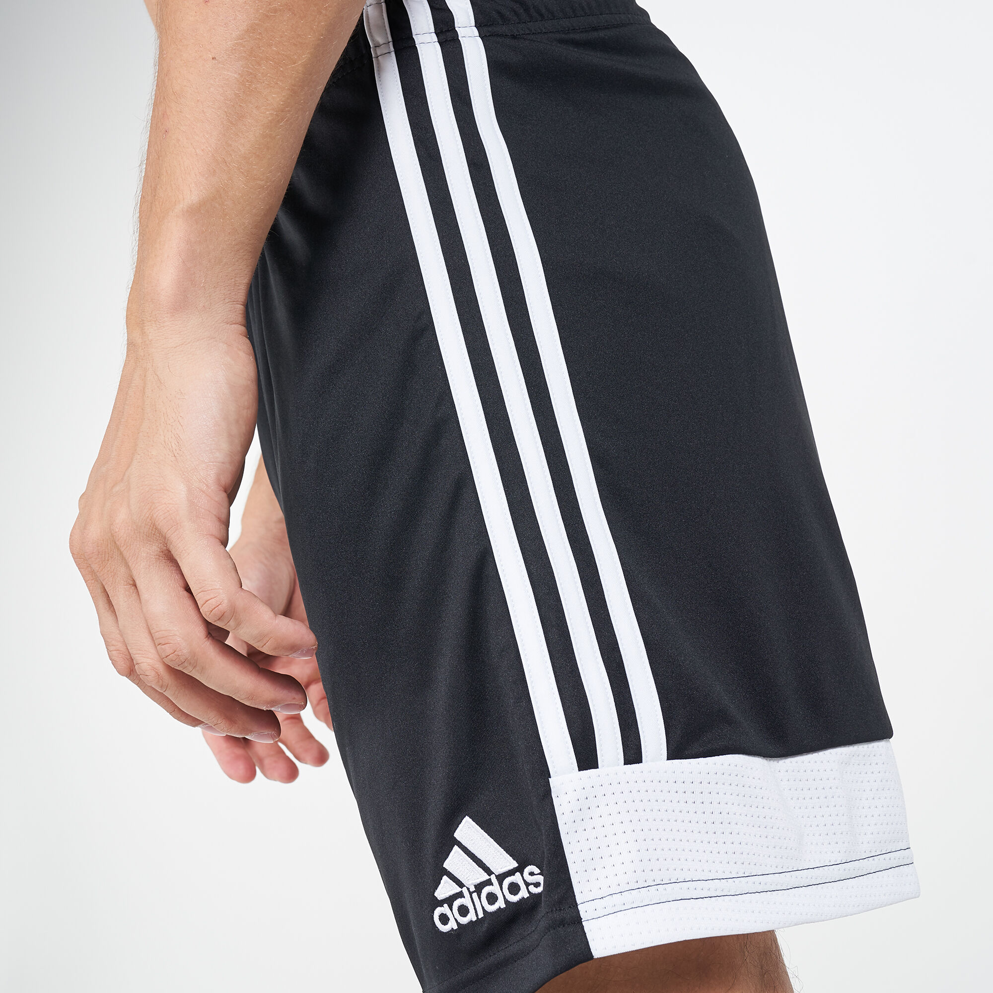 Tastigo shorts online