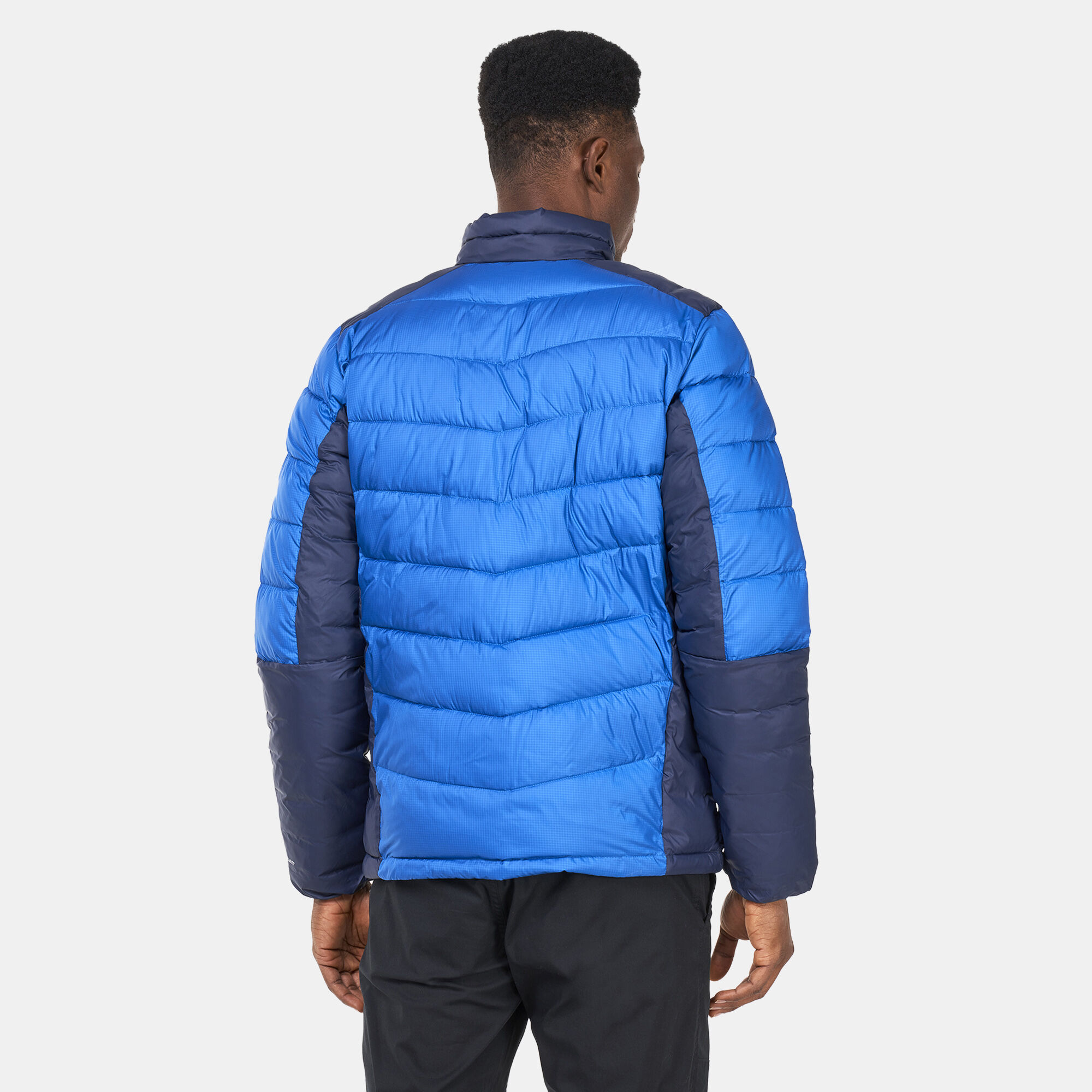 Salomon iceshelf on sale jkt m