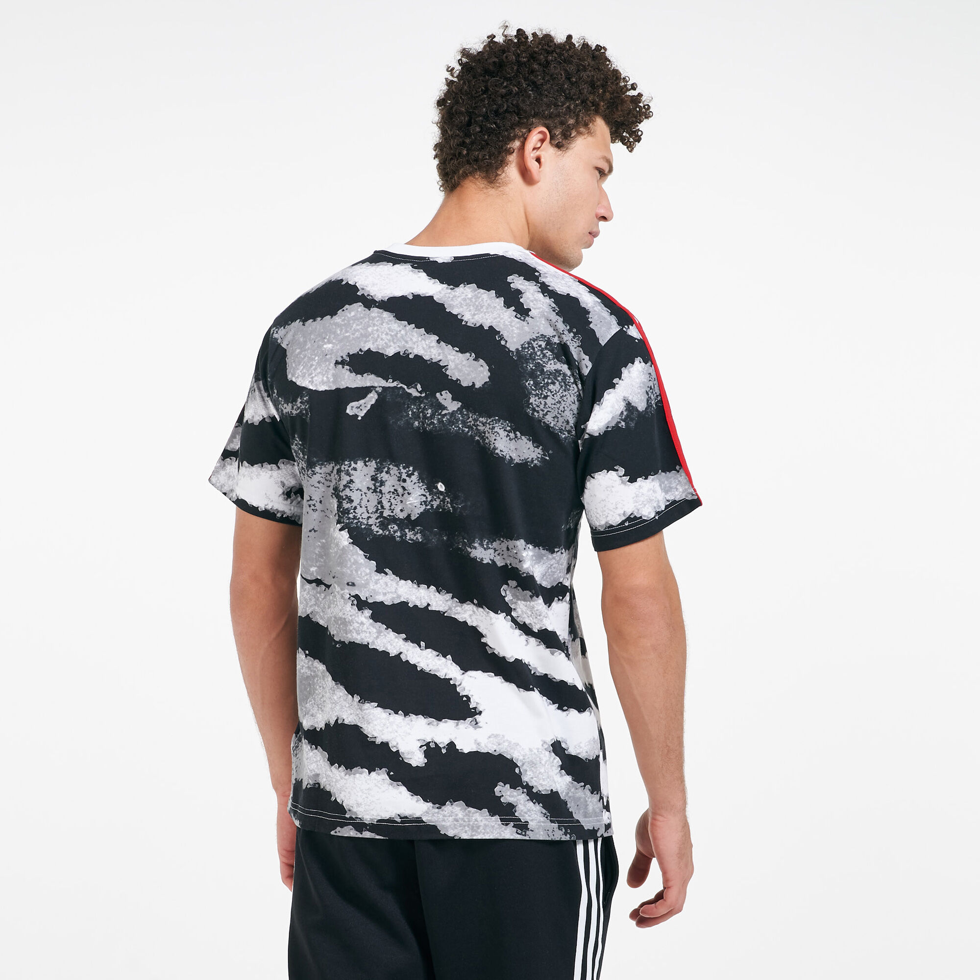 Men s Zebra Allover Print T Shirt