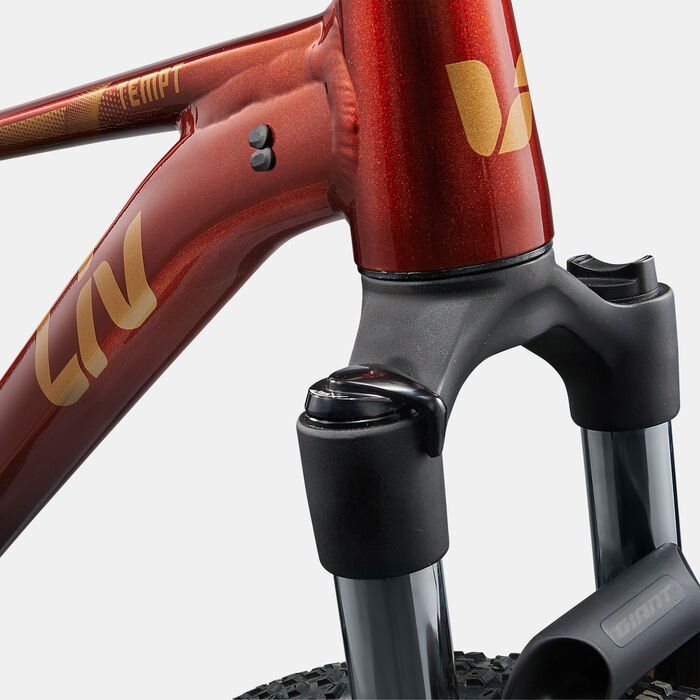 Giant Liv Tempt 2 Mountain Bike Multi-Color image number 5