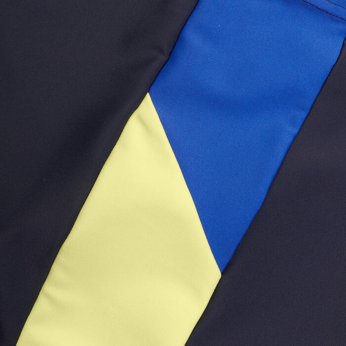 Speedo Men's Dive Swimming Shorts Blue image number 5