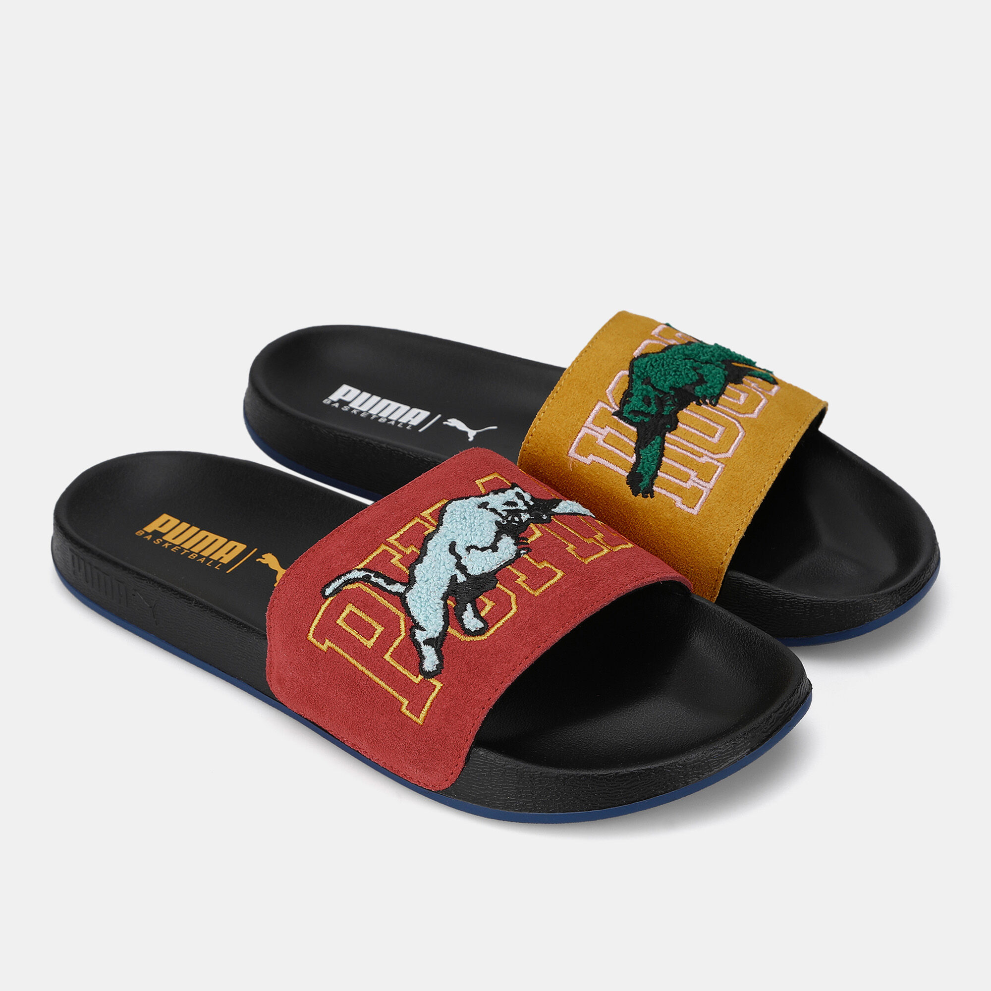 Leadcat ftr slides 2025