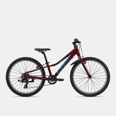Giant Kids' Talon 24 Lite Mountain Bike Multi-Color Giant Kids' Talon 24 Lite Mountain Bike Multi-Color