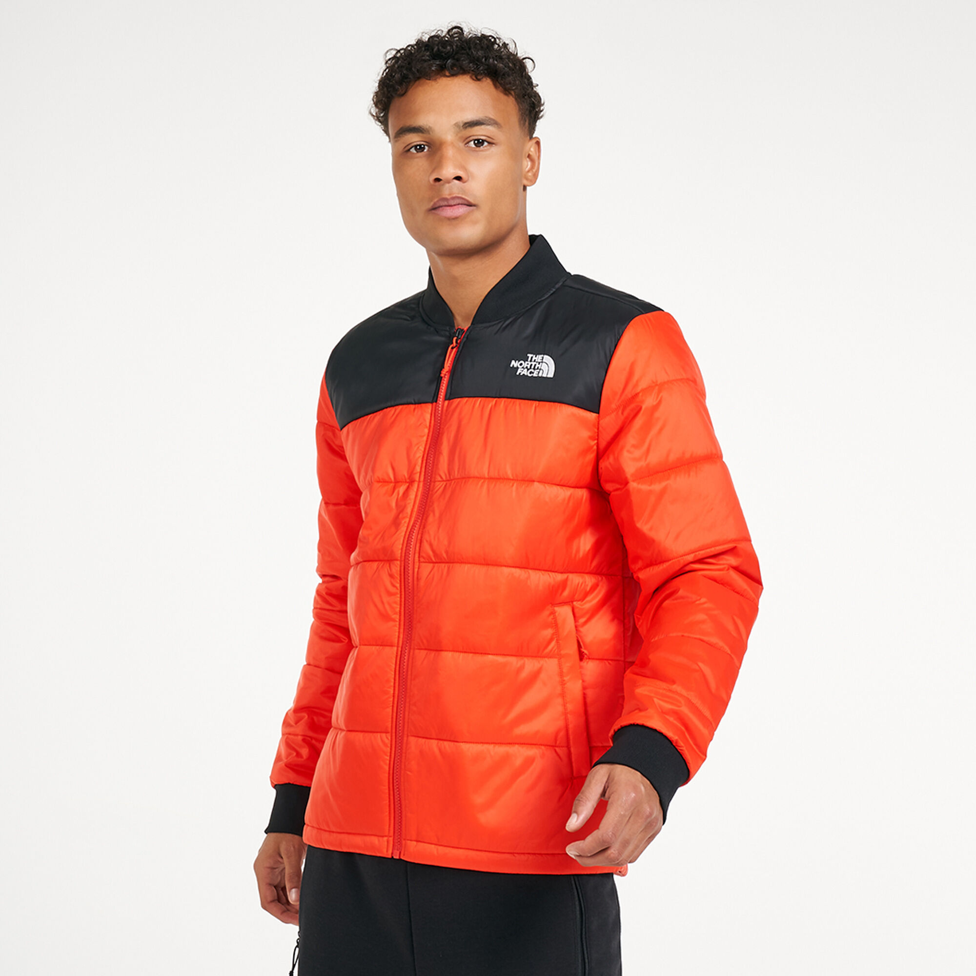 the north face pardee jacket