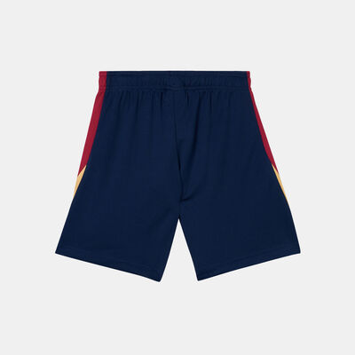 Nike F.C. Barcelona Dri-FIT Strike Football Shorts Blue Nike F.C. Barcelona Dri-FIT Strike Football Shorts Blue