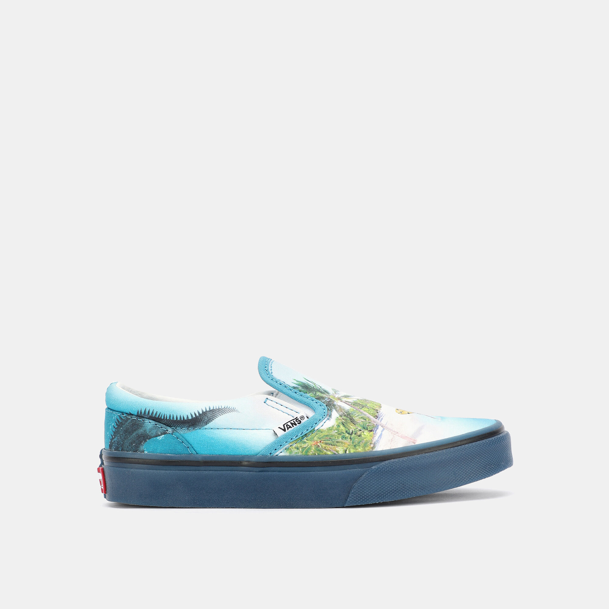 Vans molo hotsell slip on