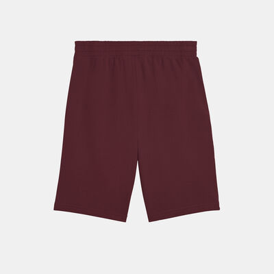 PUMA Men's ESS 2 COLOUR Logo Shorts Red PUMA Men's ESS 2 COLOUR Logo Shorts Red