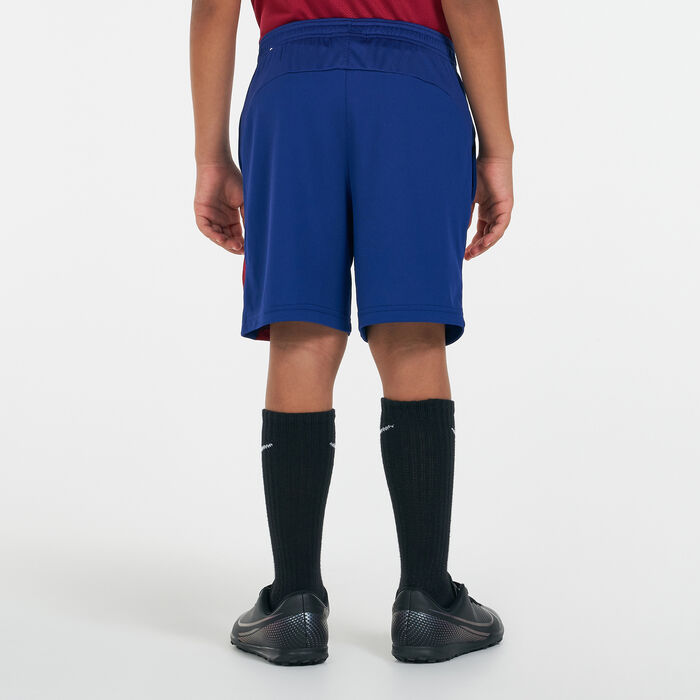 Nike Kids' Dri-FIT F.C. Barcelona Academy Pro Shorts Nike Kids' Dri-FIT F.C. Barcelona Academy Pro Shorts image number 1