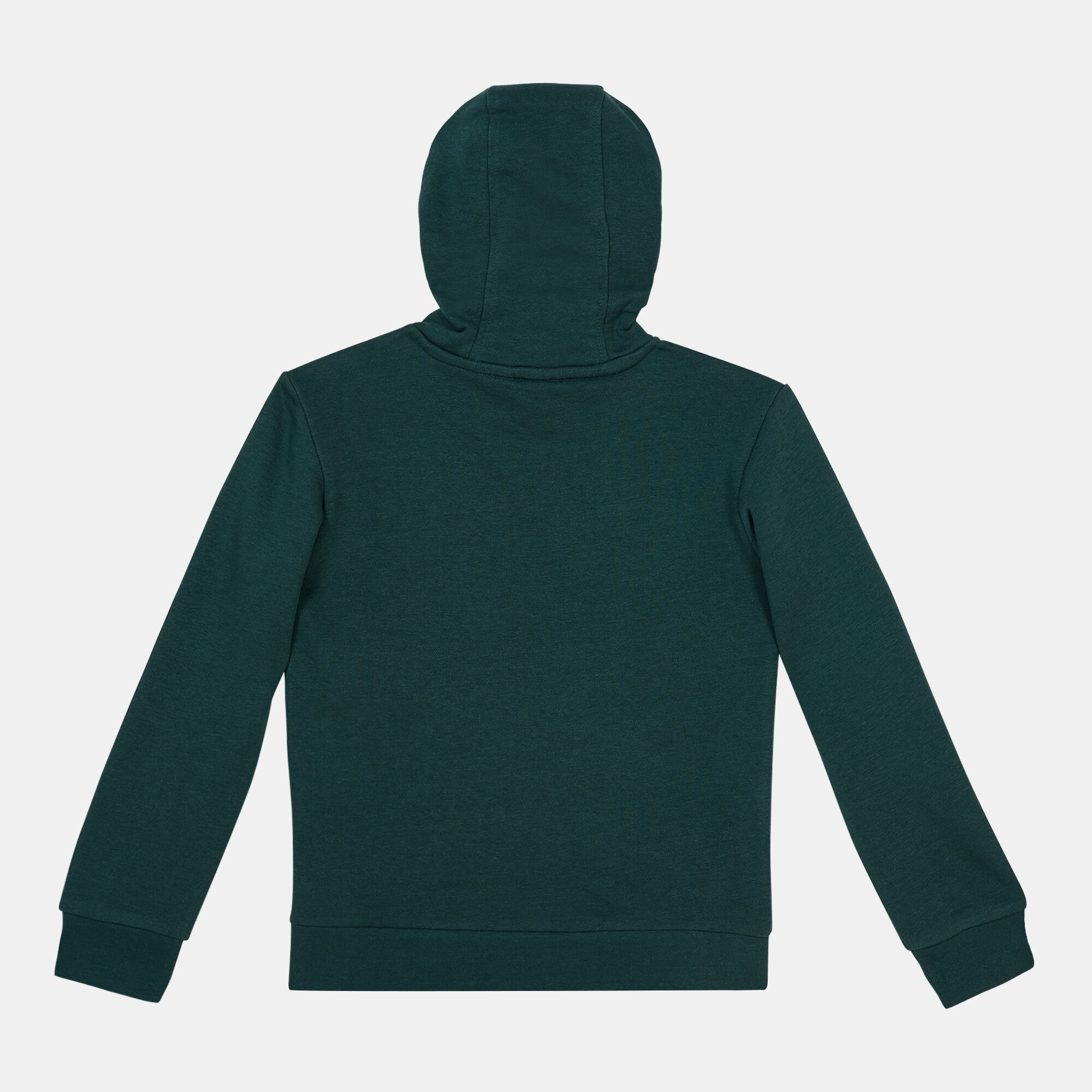 Kids Trefoil Hoodie Green adidas Originals in KSA SSS