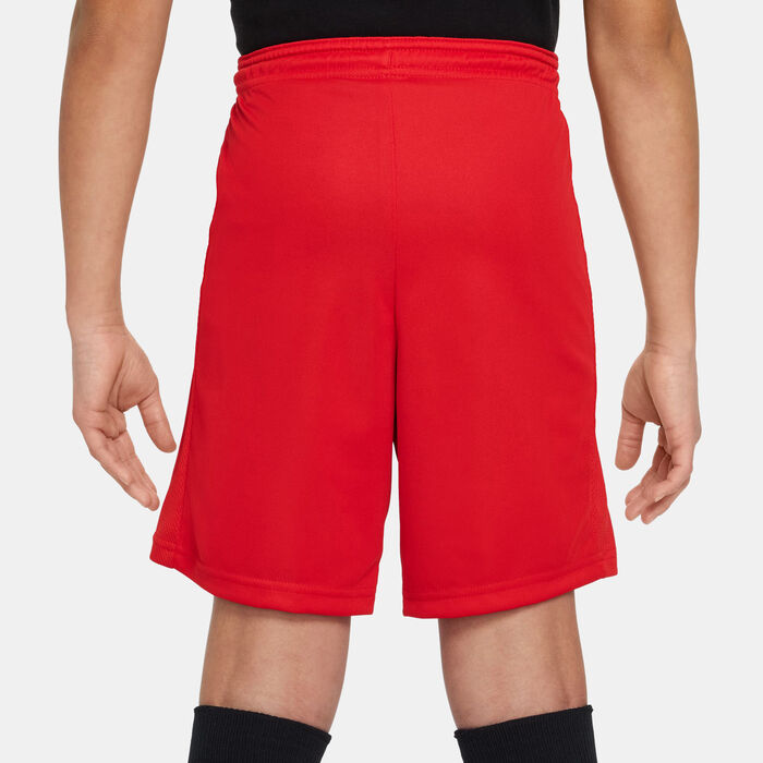 Nike Kids' Trophy23 Dri-FIT Training Shorts Red image number 1