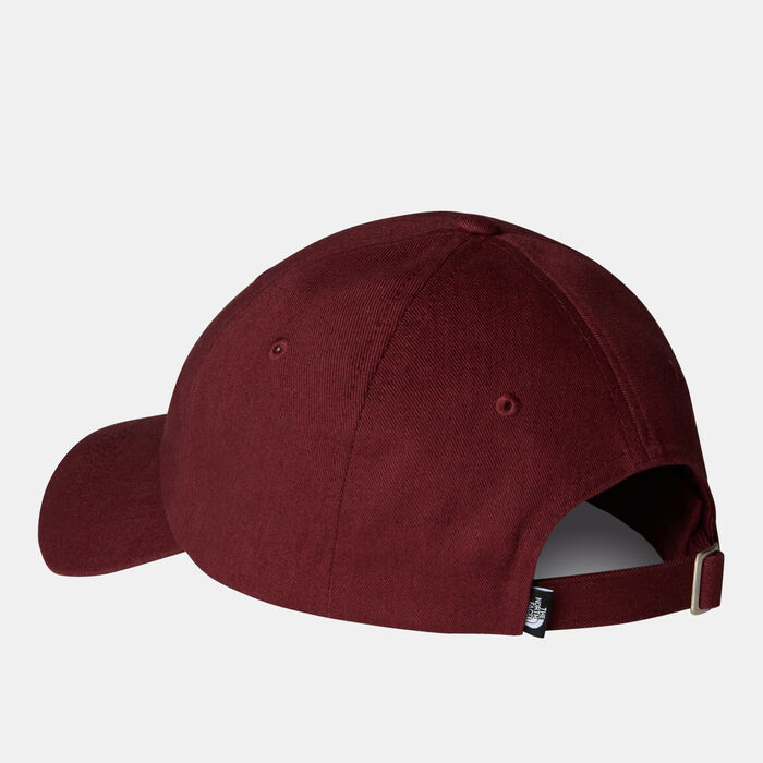 The North Face Norm Cap Brown The North Face Norm Cap Brown image number 1
