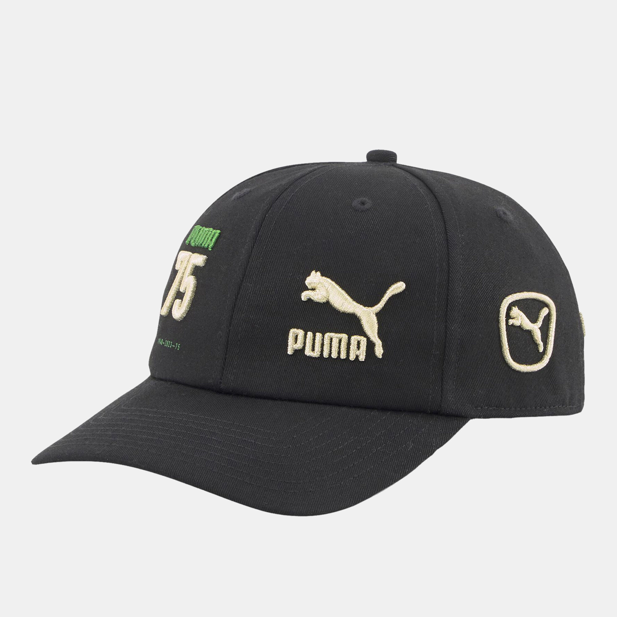 Puma caps discount for men