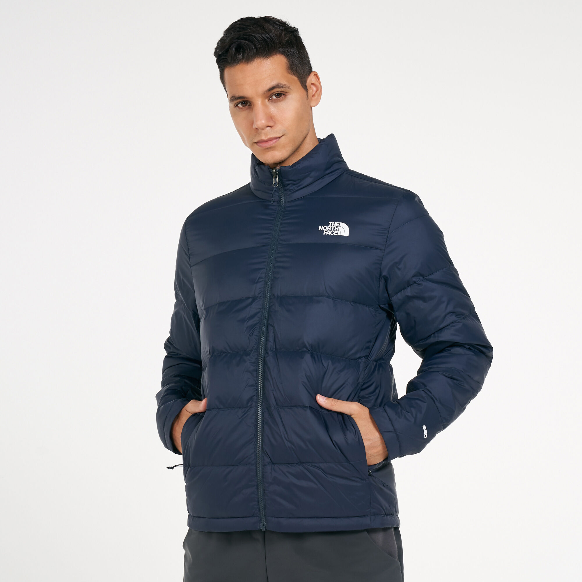 North face men's on sale mountain light triclimate