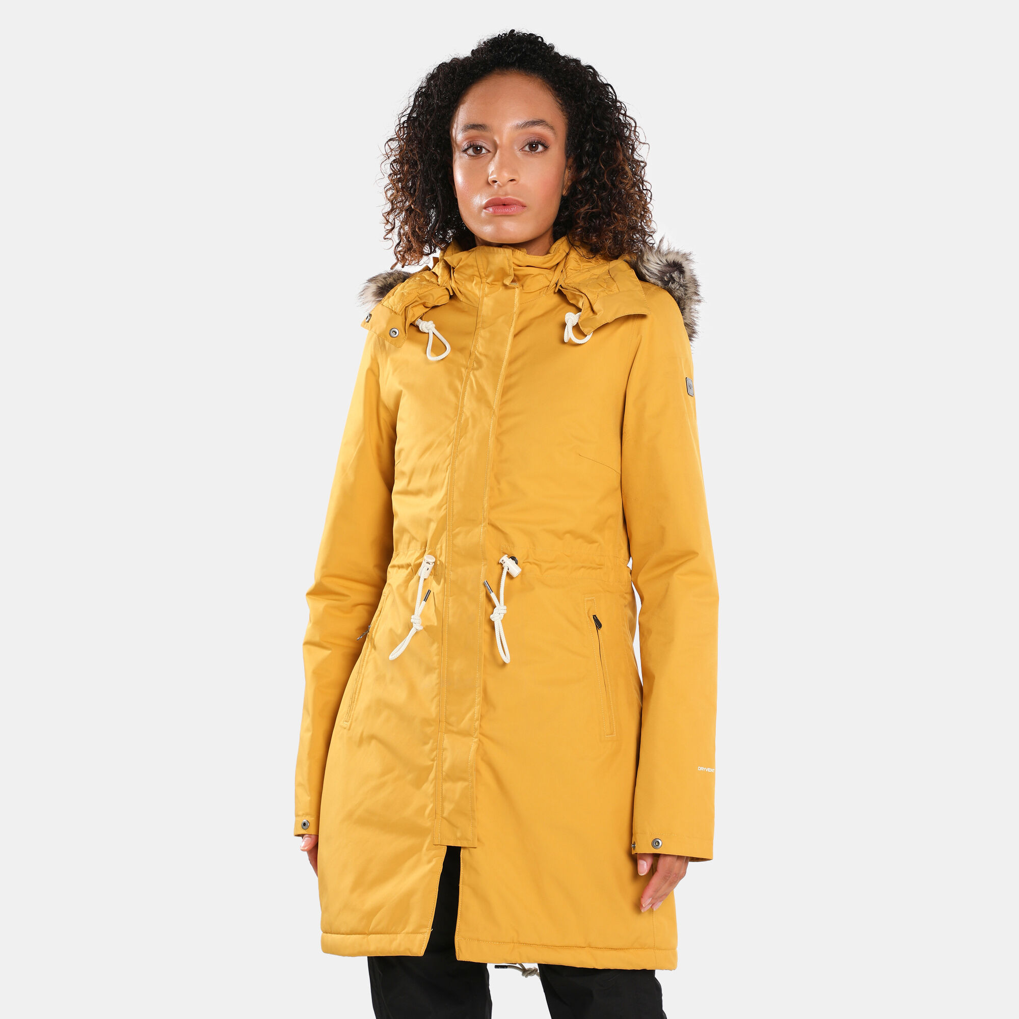 The north face women's top zaneck parka dryvent jacket