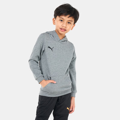 PUMA Kids' teamGOAL 23 Casuals Hoodie Grey