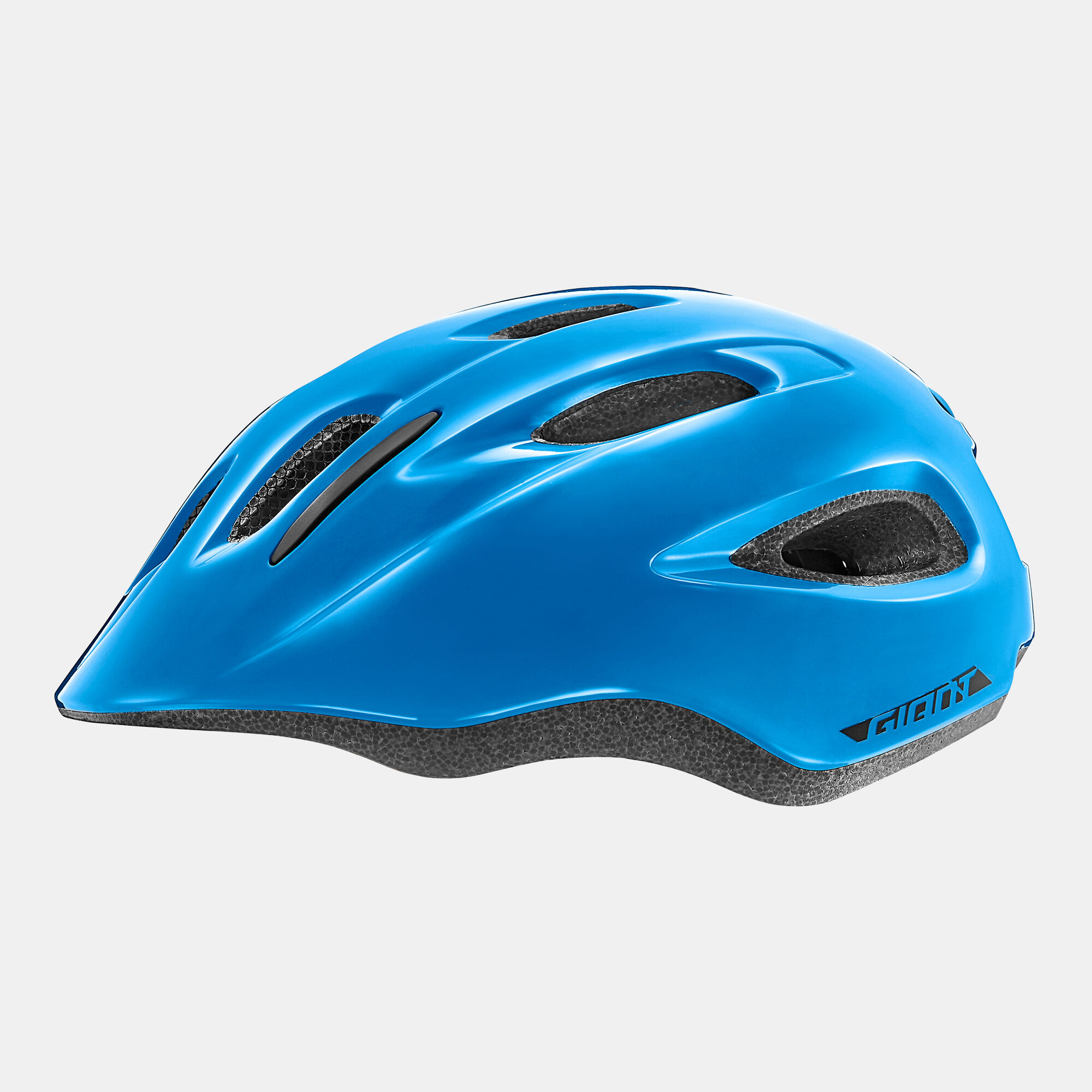 Giant hotsell hoot helmet
