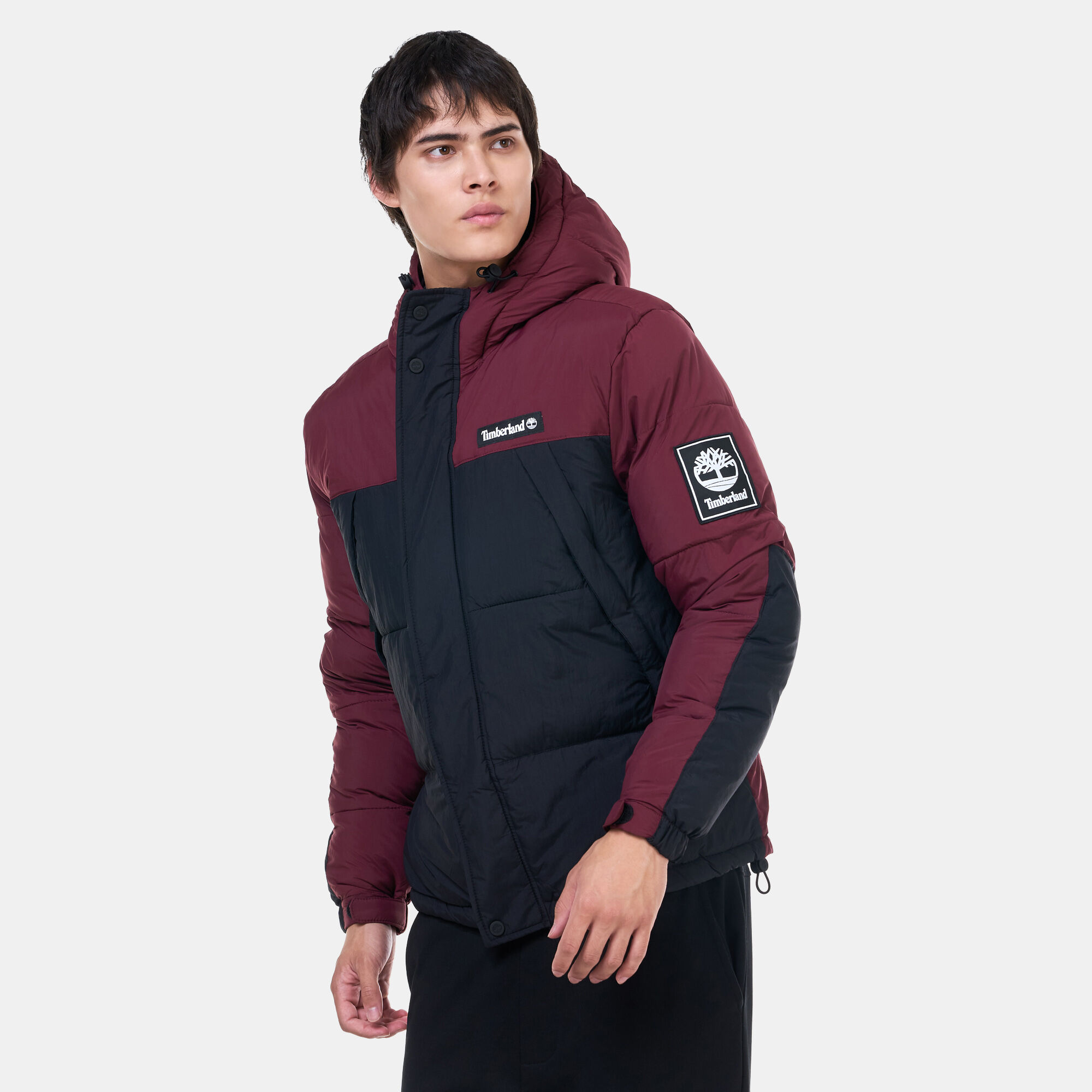 Timberland archive padded jacket cheap