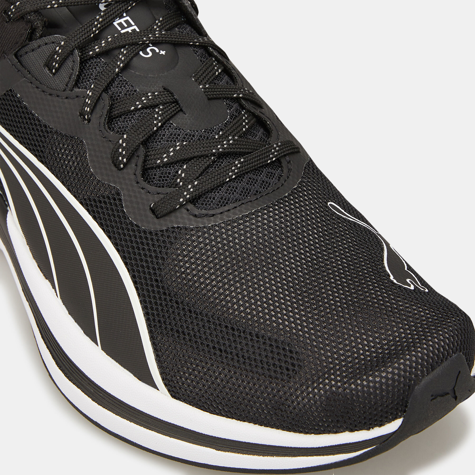 Puma discount nightcat shoes