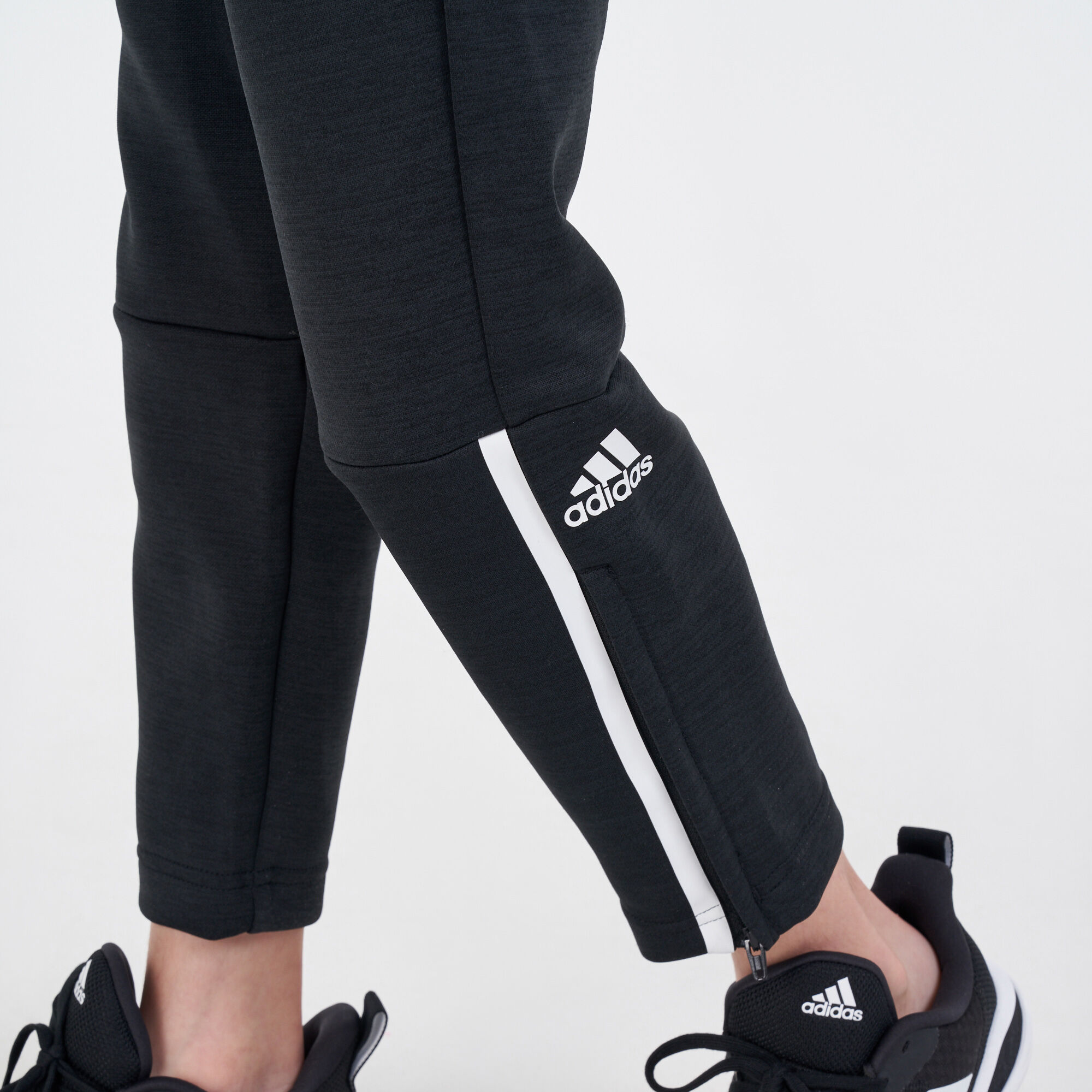 Adidas zne 3.0 pants store