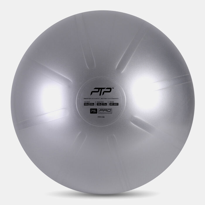 PTP Core Ball (75cm) Grey image number 0