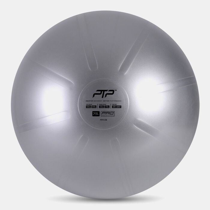 PTP Core Ball (75cm) Grey PTP Core Ball (75cm) Grey image number 0