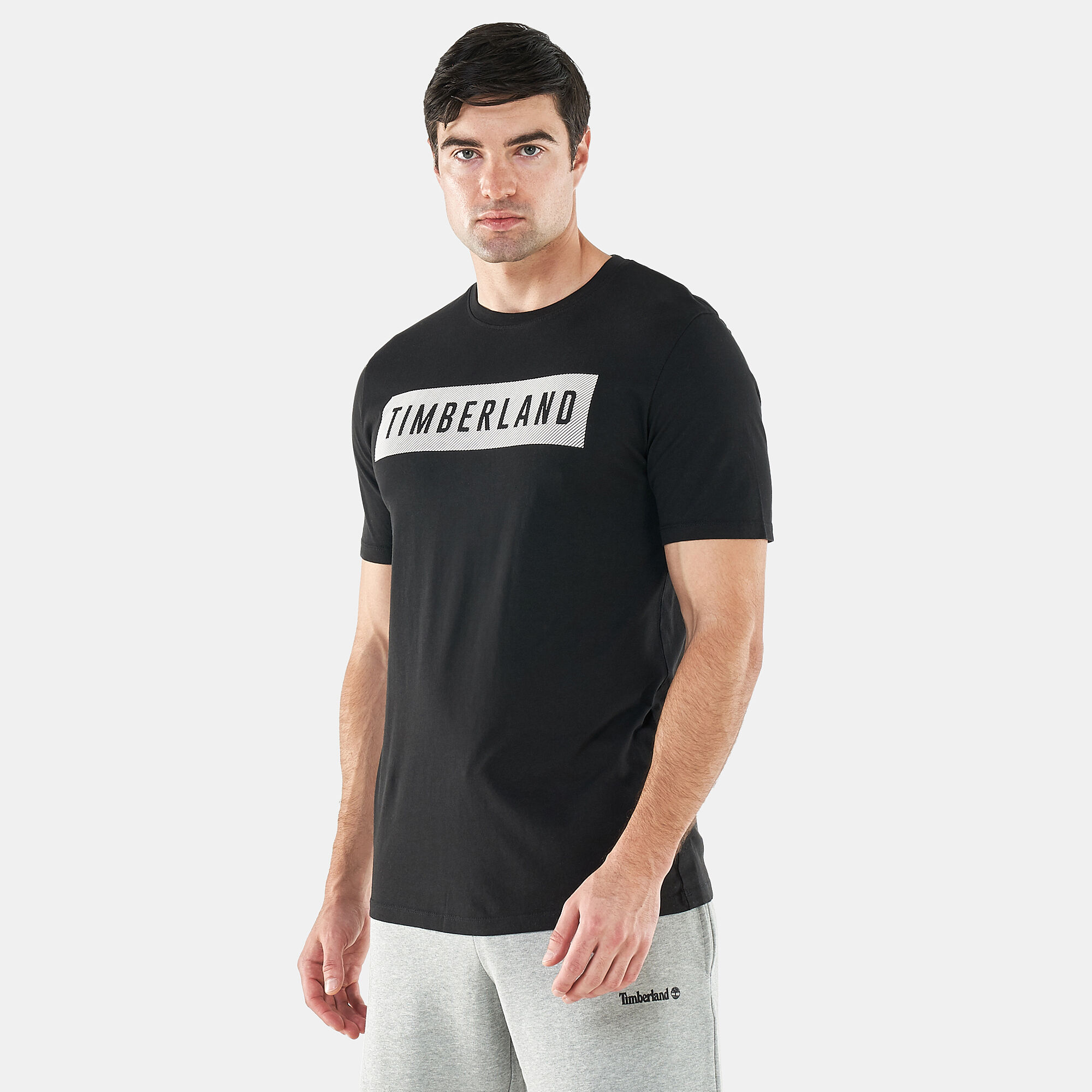 T shirt uomo timberland shop