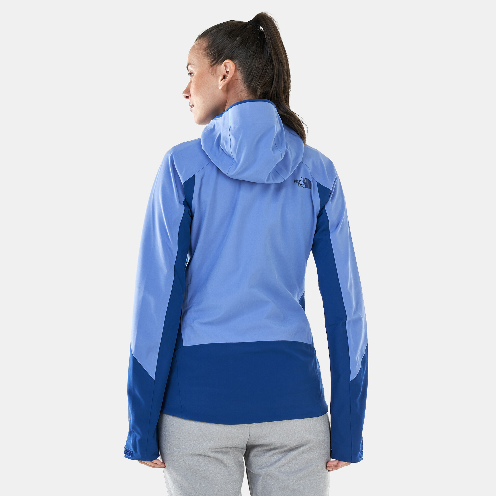 The north face women's apex flex gtx 2.0 jacket outlet