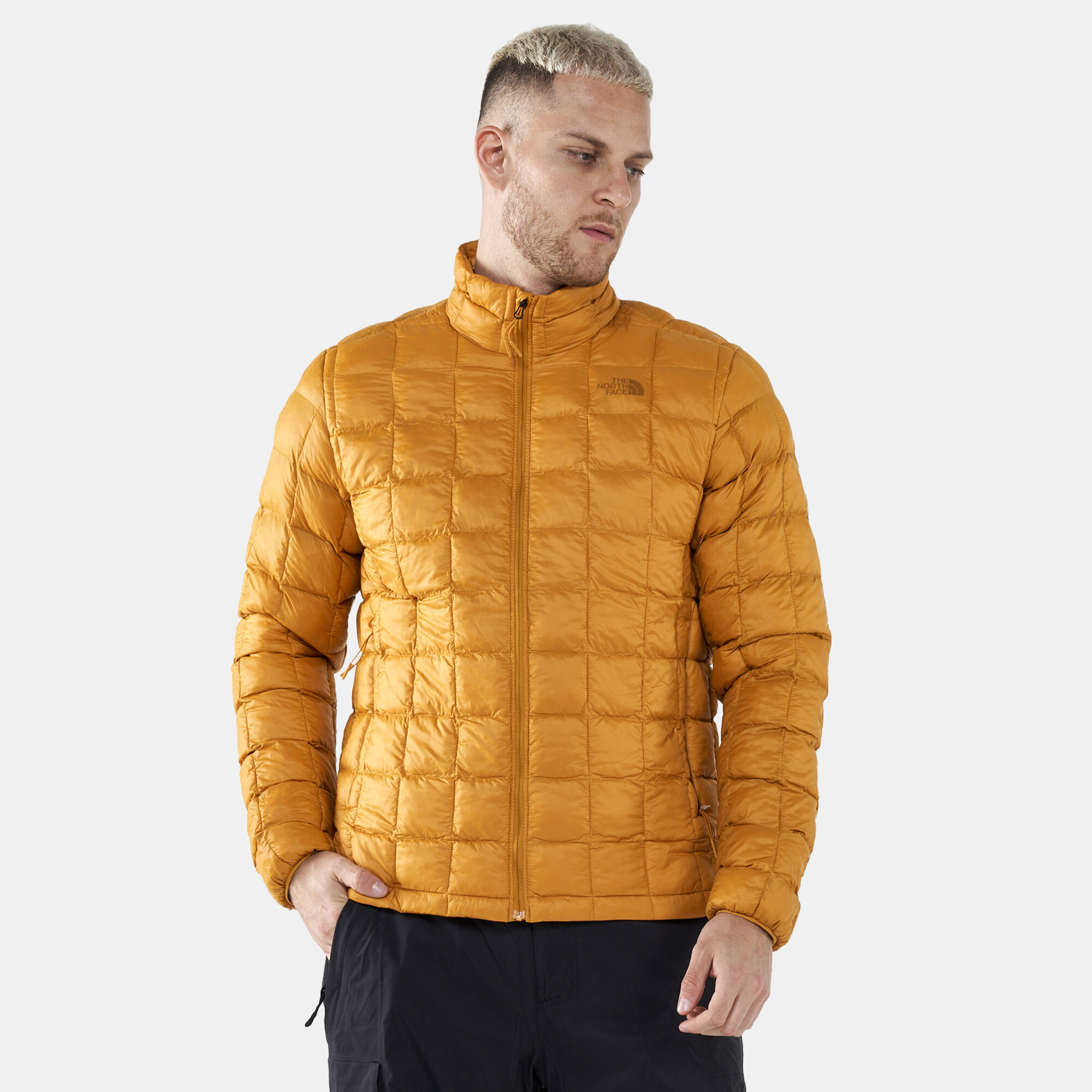 The north face men's thermoball full zip jacket store