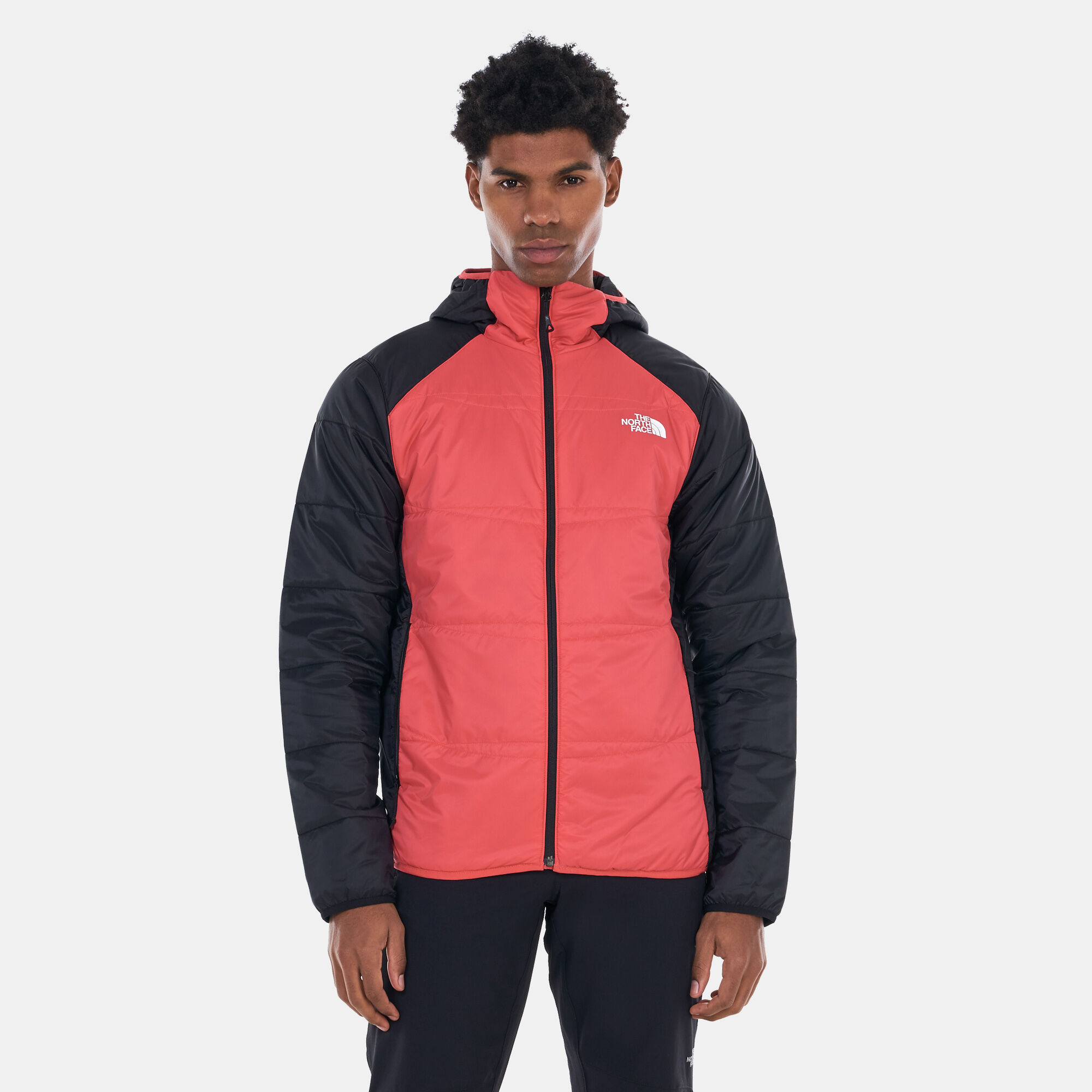 Mens quest north on sale face jacket