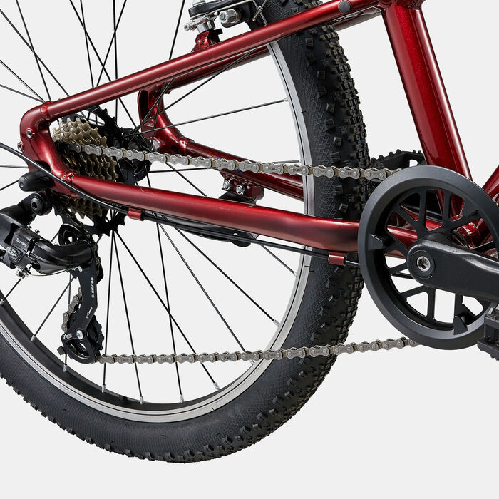 Giant Kids' Talon 24 Lite Mountain Bike Multi-Color Giant Kids' Talon 24 Lite Mountain Bike Multi-Color image number 4
