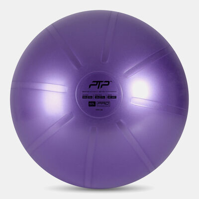 PTP Core Ball (55cm) Multi-Color PTP Core Ball (55cm) Multi-Color
